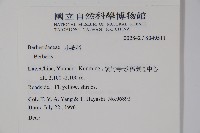 粉葉小檗藏品圖，第2張