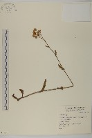 登錄號:S049513藏品圖，第1張