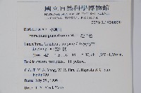淫羊藿藏品圖，第2張