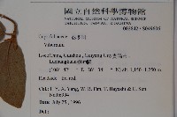 登錄號:S049606藏品圖，第2張