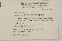 交趾衛矛藏品圖，第2張