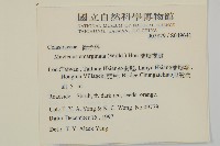 蘭嶼裸實藏品圖，第2張