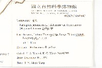 山菊藏品圖，第2張