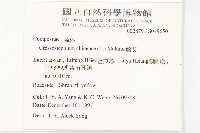 蘄艾、芙蓉菊藏品圖，第2張