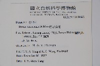 琉球黃楊藏品圖，第2張