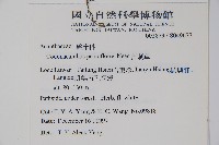 針刺草藏品圖，第2張