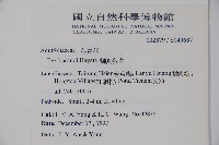 草野氏冬青藏品圖，第2張