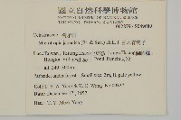 日本賽衛矛、日本假衛矛藏品圖，第2張