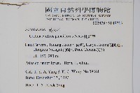 針刺草藏品圖，第2張