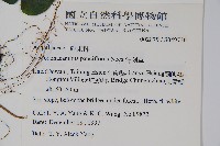 針刺草藏品圖，第2張