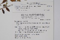 田代氏澤蘭藏品圖，第2張