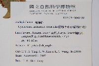 蘭嶼牛皮消、蘭嶼白薇藏品圖，第2張