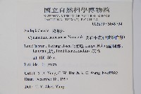 蘭嶼牛皮消、蘭嶼白薇藏品圖，第2張