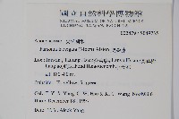 爬森藤藏品圖，第2張