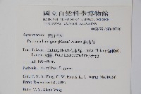 爬森藤藏品圖，第2張