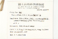 蘭嶼木耳菜藏品圖，第2張