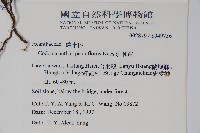 針刺草藏品圖，第2張