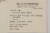 金腰箭舅藏品圖，第2張