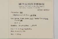 金腰箭舅藏品圖，第2張
