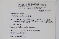 爵床藏品圖，第2張