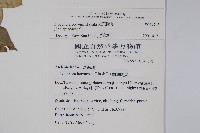 光葉鷗蔓藏品圖，第2張