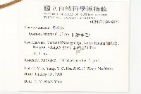 甘藷、地瓜藏品圖，第2張