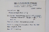 安旱草藏品圖，第2張