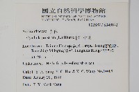 假川牛膝藏品圖，第2張