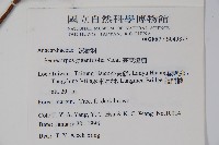 臺東漆樹藏品圖，第2張