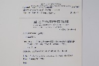 蘭嶼牛皮消、蘭嶼白薇藏品圖，第2張