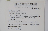 草野氏冬青藏品圖，第2張