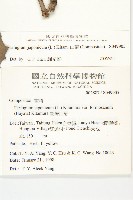 山菊藏品圖，第2張