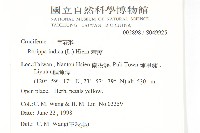 葶藶藏品圖，第2張