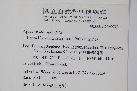 蘿芙木藏品圖，第2張