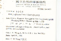 風花菜、球果山芥菜藏品圖，第2張