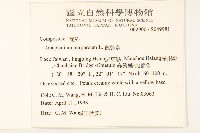 鼠麴舅藏品圖，第2張