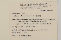 艾納香藏品圖，第2張