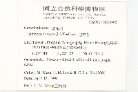 野牽牛藏品圖，第2張