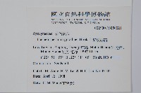 細梗絡石藏品圖，第2張