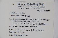 鐵冬青藏品圖，第2張