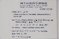 山柑、臺灣山柑藏品圖，第2張