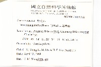 菜欒藤藏品圖，第2張