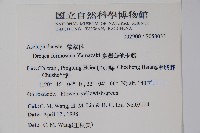 臺灣華他卡藤藏品圖，第2張