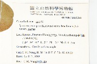 馬鞍藤藏品圖，第2張