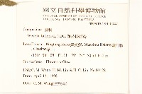 雙花蟛蜞菊藏品圖，第2張