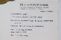 尖尾鳳、馬利筋藏品圖，第5張