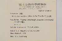 鬼針舅藏品圖，第2張