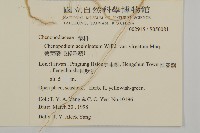 變葉藜、毛綠珠藜藏品圖，第2張