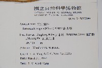 爬森藤藏品圖，第2張