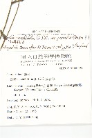 紫背草藏品圖，第2張